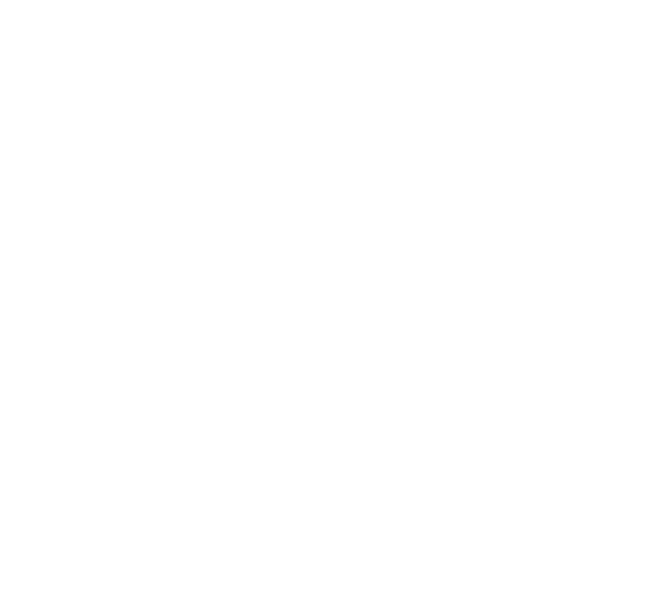 الدورة الثانية والخمسون لمجلس وزراء خارجية منظمة التعاون الإسلامي